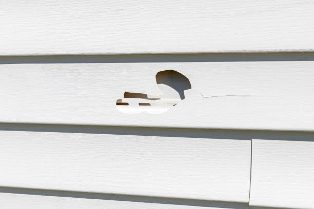 Siding Removal and Disposal in Martinez, CA